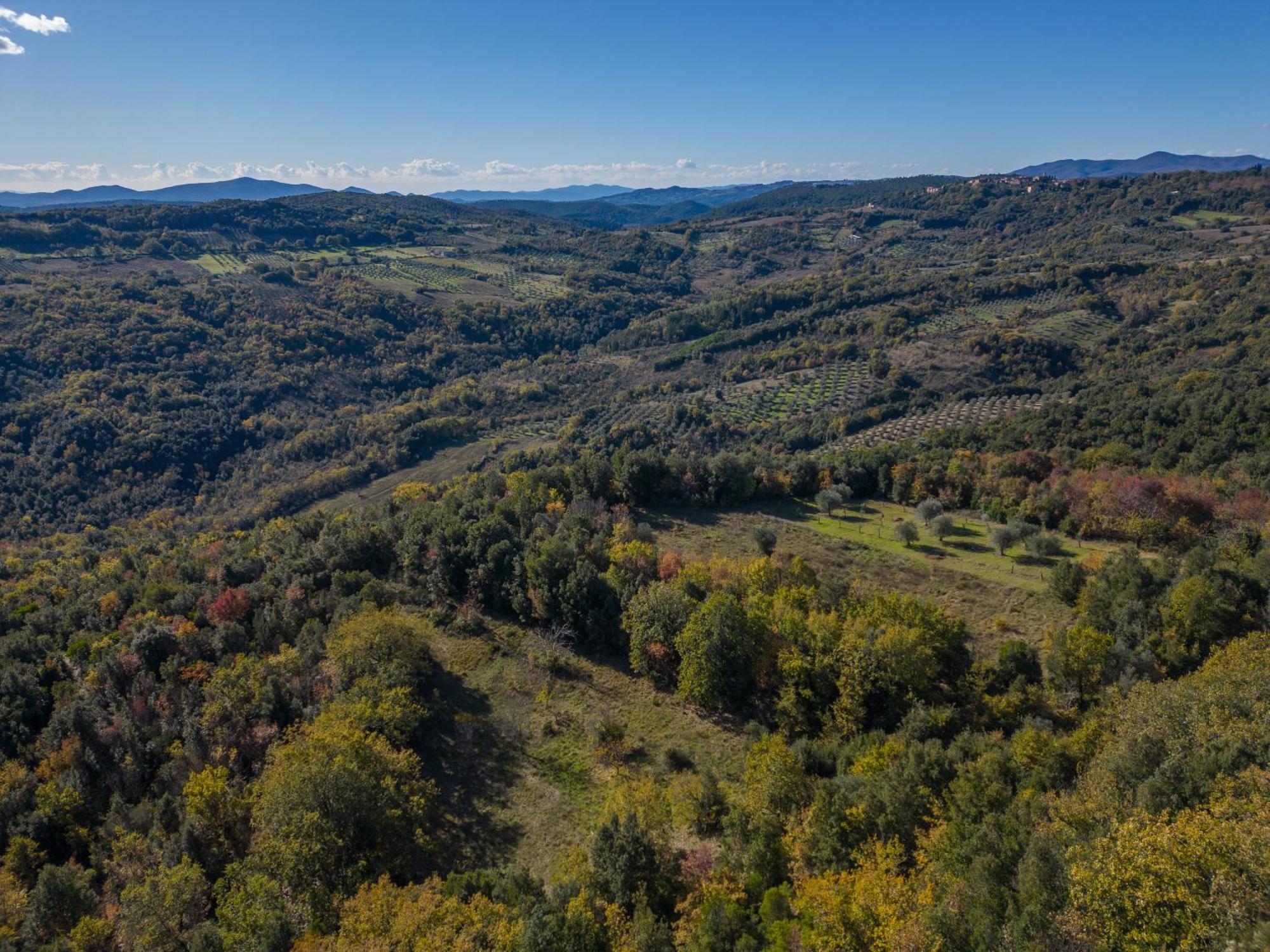 فيلا Agriturismo Antico Borgo Montacuto باري المظهر الخارجي الصورة